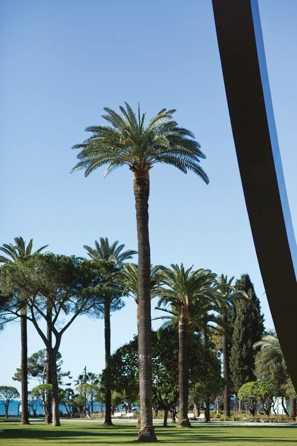 Angle Droit- Loft Charmant Et Atypique, Climatisation, Vieux-Nice Exterior foto